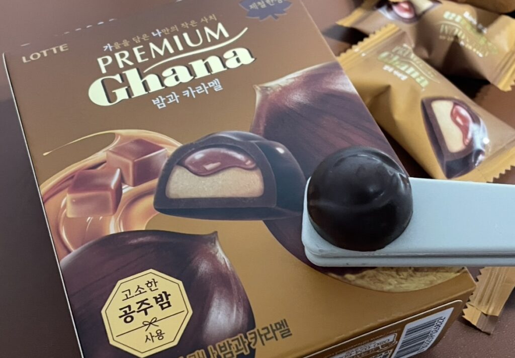 a close-up of a single rich chocolate piece capturing the harmony of smooth caramel and nutty chestnut — a perfect image representing korean snack flavors